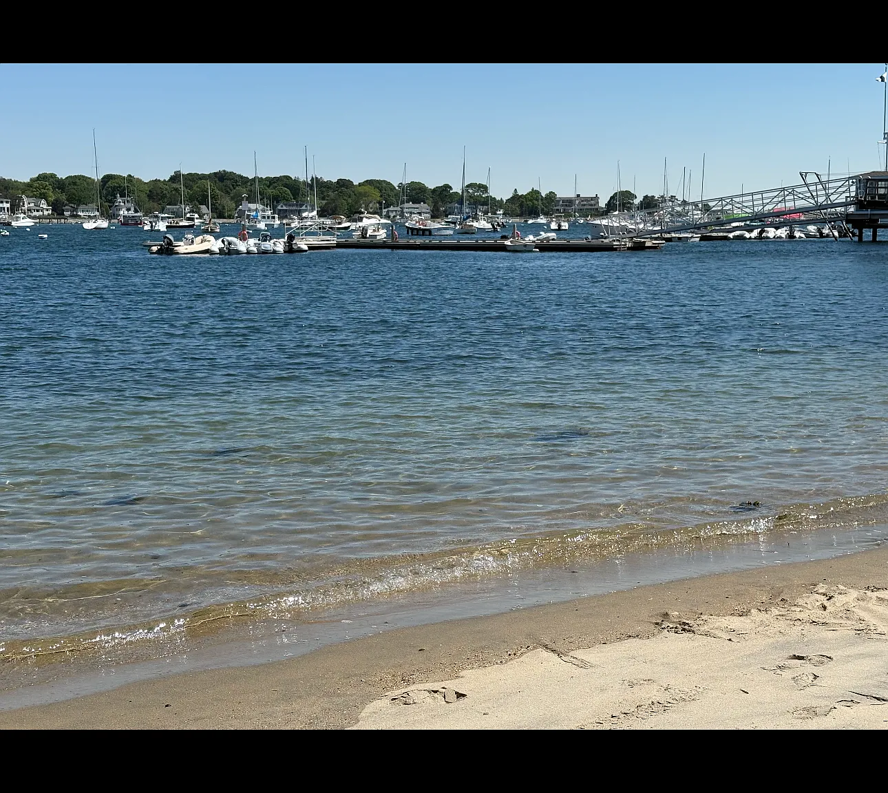 1 bed, 1.5 bath, 1000 sqft, $2,900 — Photo 4
