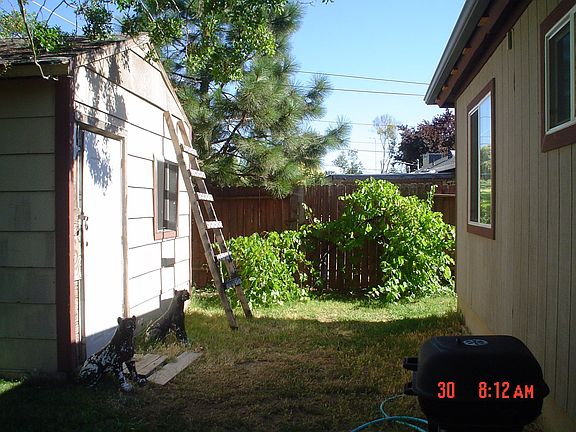 4th image of 5841 N Haven Dr
