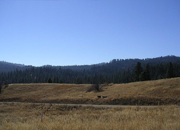 5th image of Pine Hts