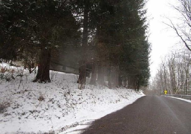 2nd image of 1003 Wharton Furnace Rd