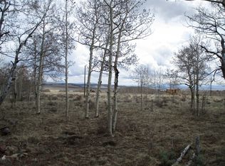 0 Sleepy Grass Ct, Fairplay, CO 80440