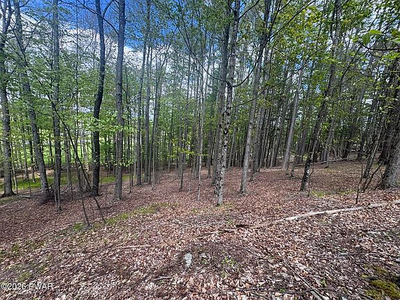 5th image of 39 Hill Top Dr
