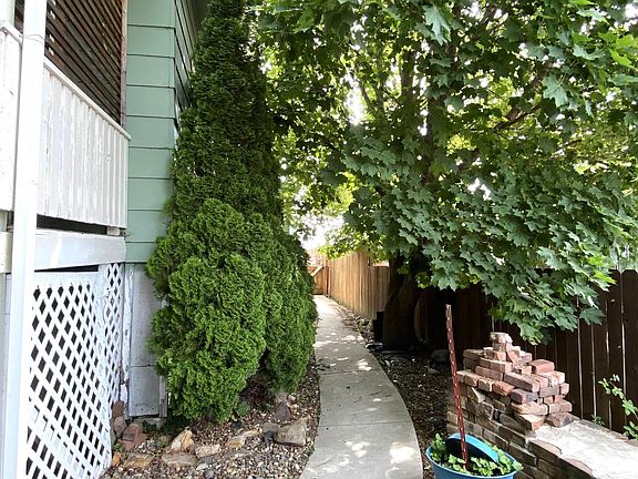 5th image of 825 Larch St