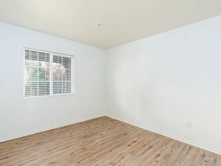 Twin Palm Apartments — Photo 3