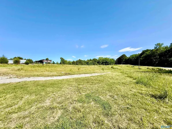 6.63 Acres Hwy #117, Stevenson, AL 35772