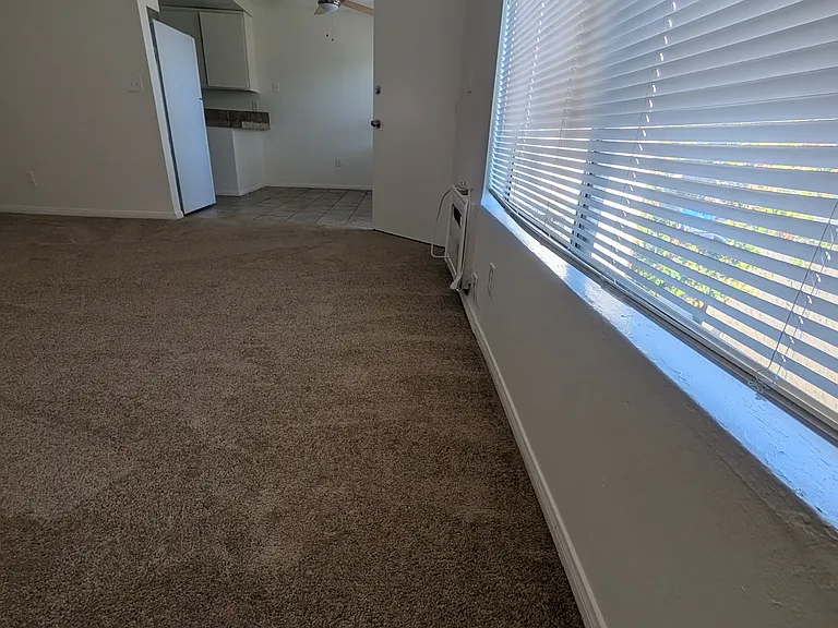 1054 S Magnolia Ave #8 — Photo 41