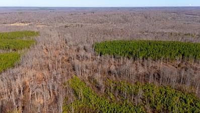 4th image of 0 White Oak Rd Lot 18B