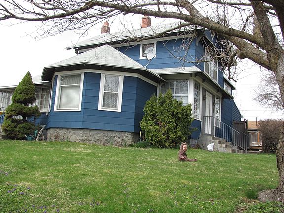 mature landscape/wildlife