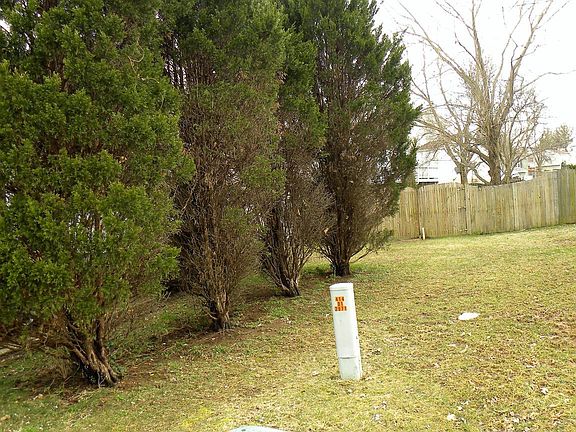5th image of 13608 Rush Dr