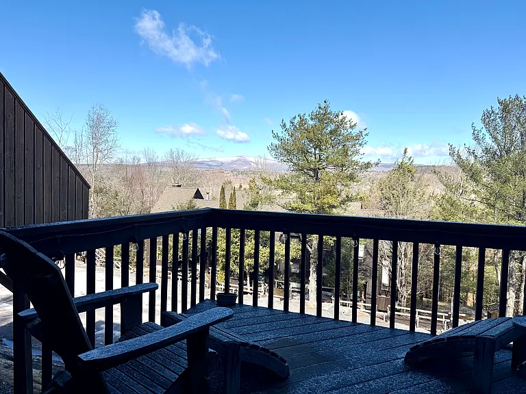 121 Brainard Ridge Rd — Photo 21