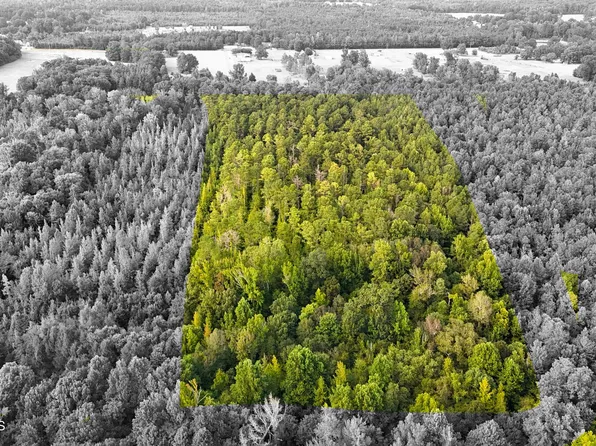 Sylvester Rd, Columbus, MS 39702