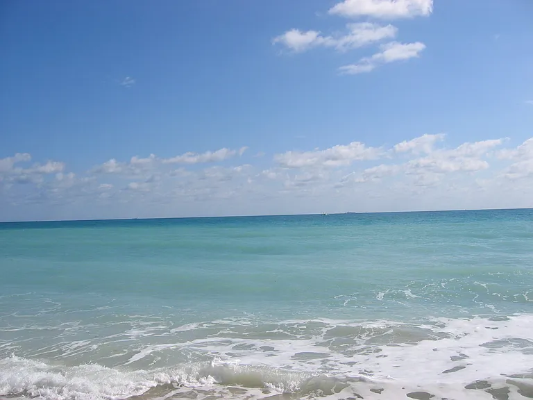 2080 S Ocean Dr #1503 — Photo 47