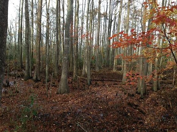 3rd image of Sandy Ford Rd