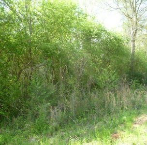 Emmitt Brown Rd, Mendenhall, MS, 39114