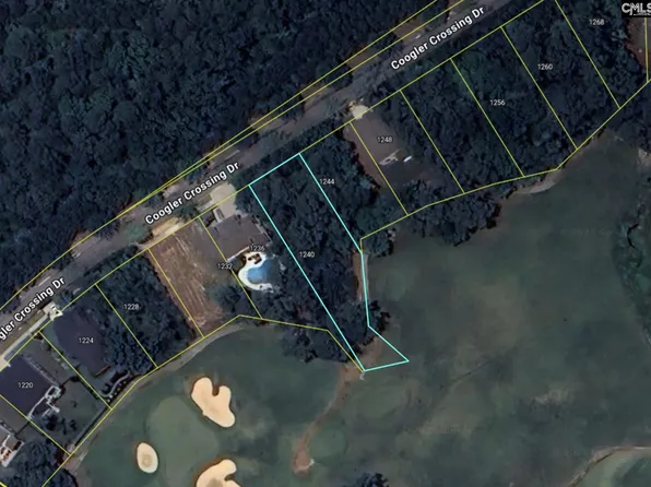 1240 Coogler Crossing Dr, Blythewood, SC 29016