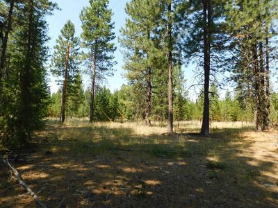 Xx Deer Valley Rd PARCEL C, Newport, WA, 99156