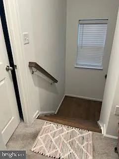 646 Hemsworth Ln — Photo 48