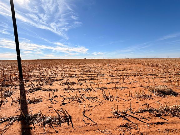 4th image of 4404 Hawk Rd