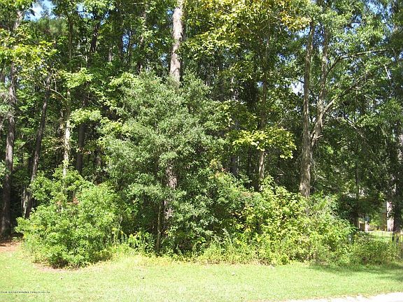 3rd image of 550 Barfield Dr