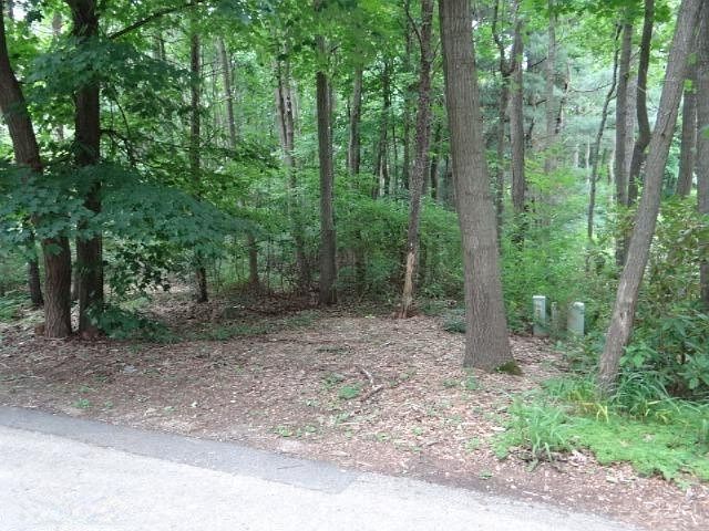 1st image of Forest Trail Cir