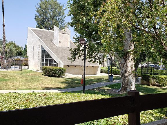 Patio View, lots of trees and plants