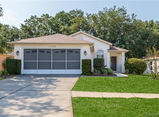 11246 Heathrow Ave, Spring Hill, FL 34609