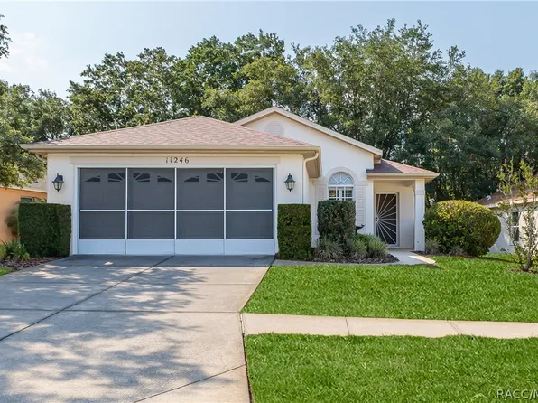 11246 Heathrow Ave, Spring Hill, FL 34609