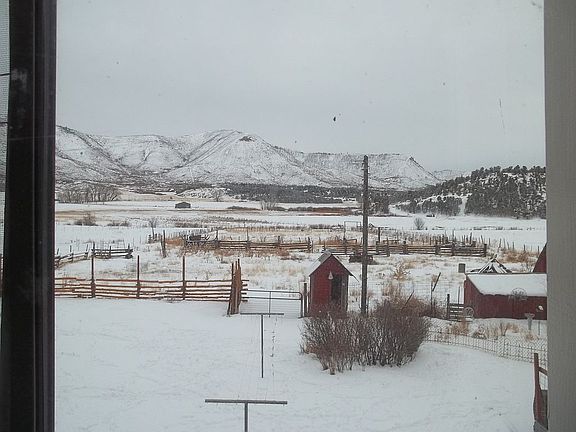 Back Yard...