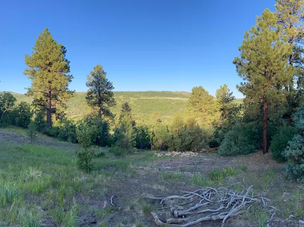 Green Meadows Ln Lot 127, Placerville, CO 81430