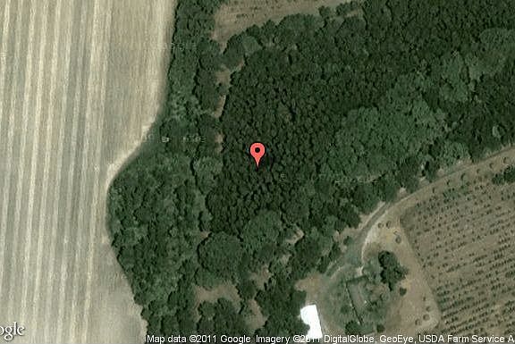 Map View