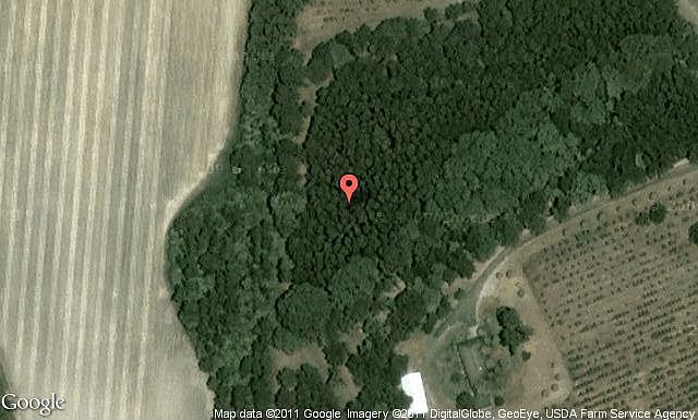 Map View