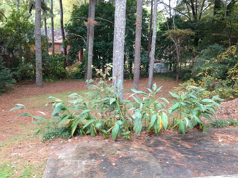 4267 Chamblee Tucker Rd — Photo 15