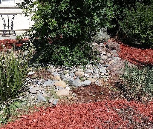 Drought tolerent front on drip timer