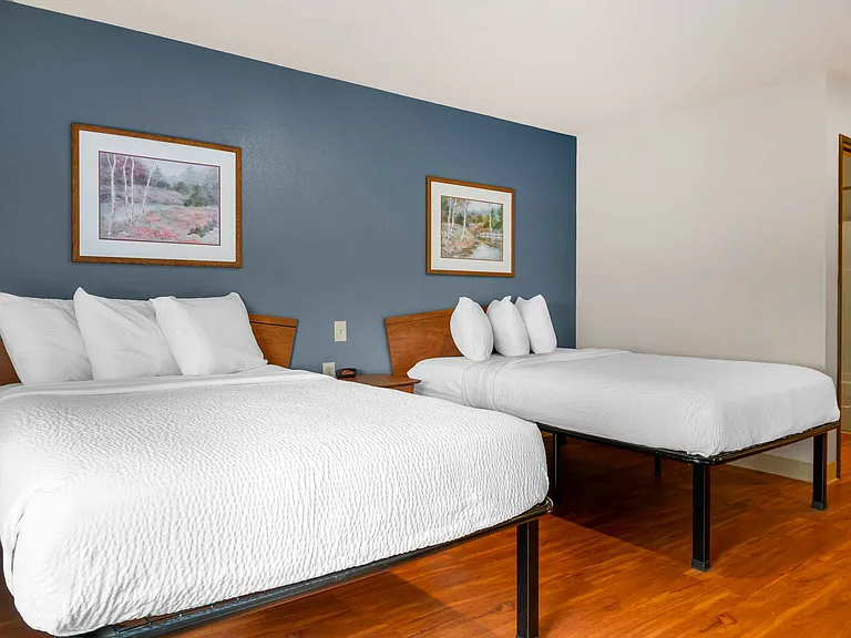 Studio Suite - 2 Full Beds