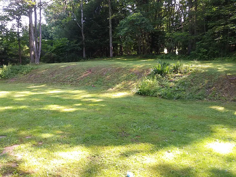 Fenced backyard.