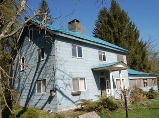 13041 State Highway 30, Downsville, NY 13755