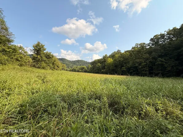 0 Flower Gap Rd, Blackwater, VA 24221