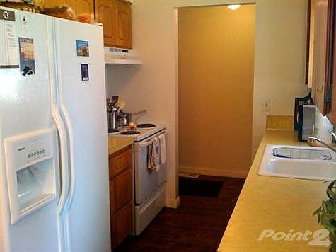 Bright Kitchen