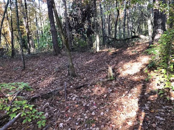 0 Teepee Trl Lot 45, Whitesburg, GA 30185