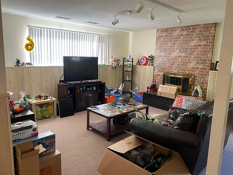 Downstairs family room