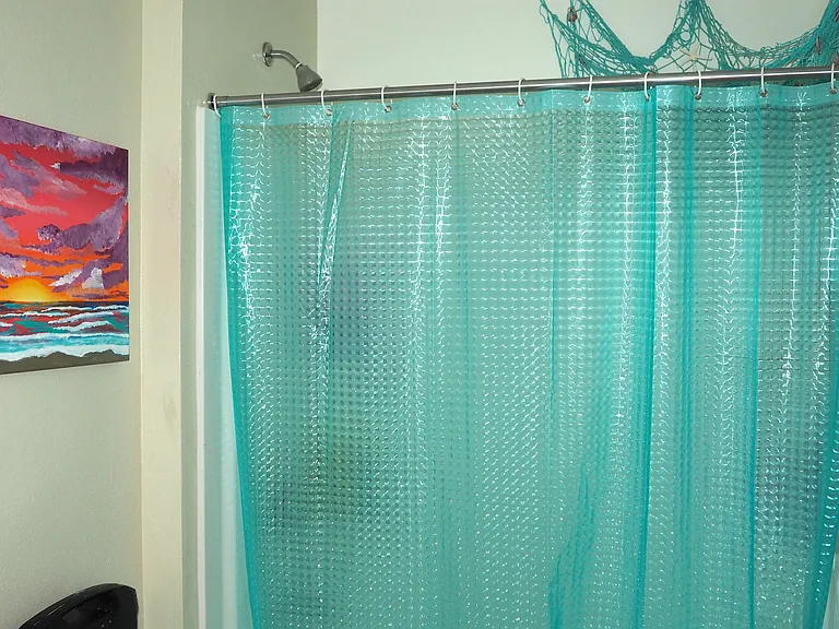 Hall bathroom with tub/shower