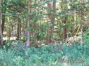 1st image of 0 State Route 28