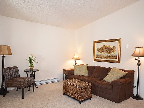 Living Room with Vaulted Ceilings