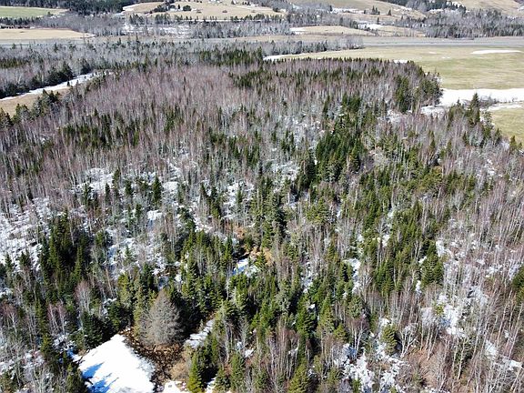 5th image of Beaver Meadow Rd