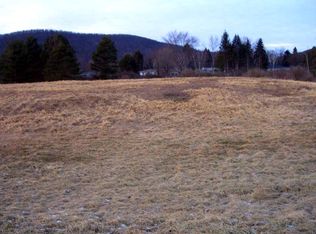 Olcott Rd, Big flats, NY 14814