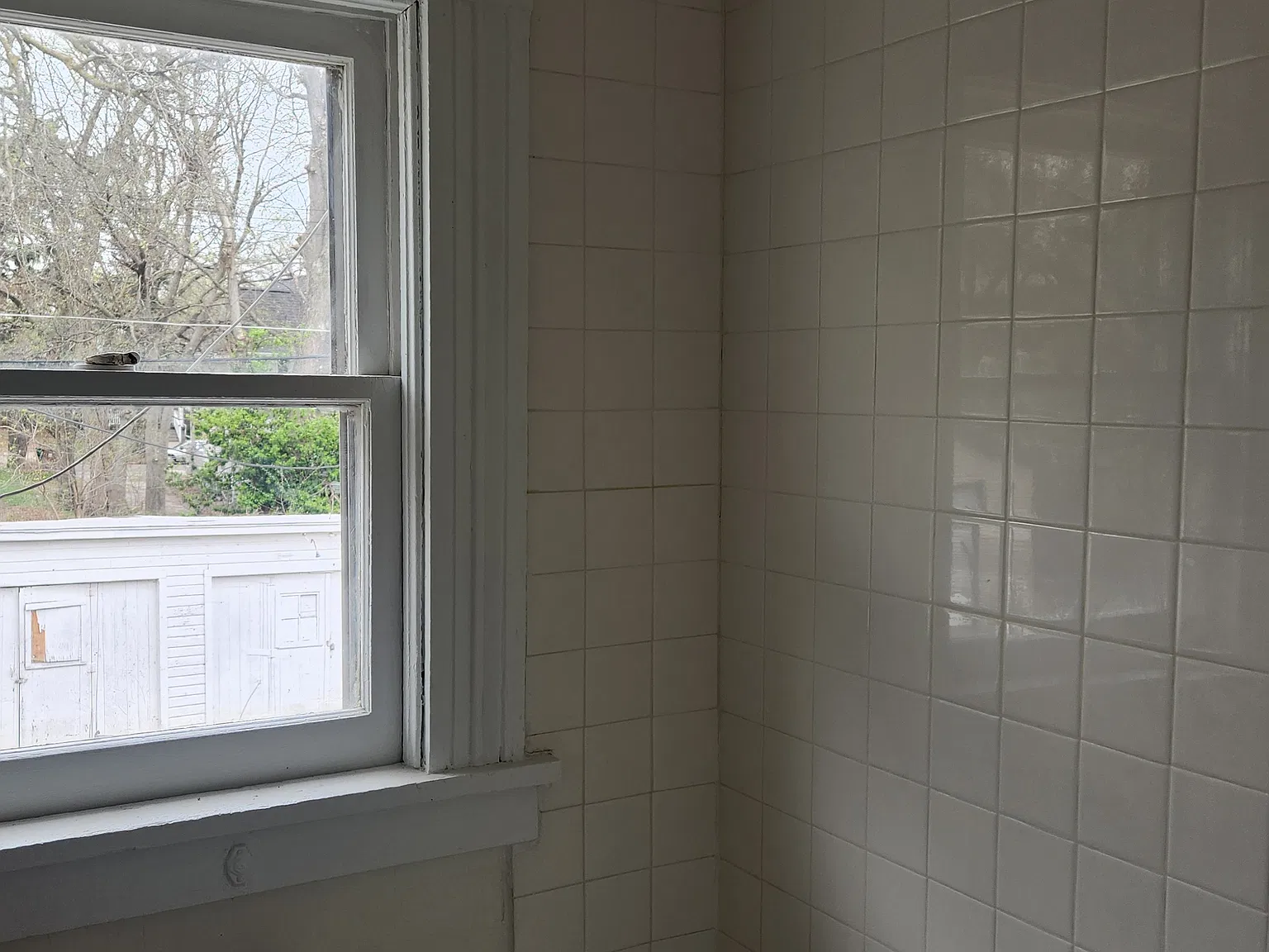 1 bed, 500 sqft, $775 — Photo 4