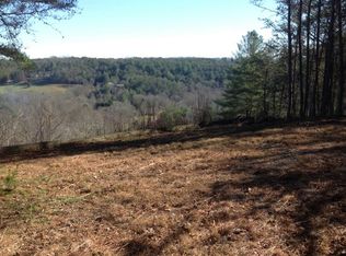 Toccoa Vista Ln, Blue Ridge, GA 30513