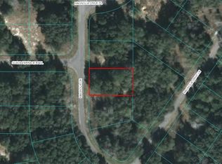 LOT 10 Magnolia Drive Pl, Ocklawaha, FL 32179