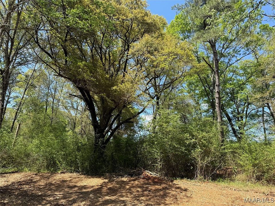 1st image of 2 County Road 81