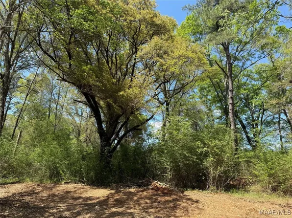 0 County Road 81, Booth, AL 36008